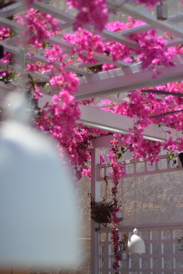Villa Iokasti Hersonissos  Exteriér fotografie